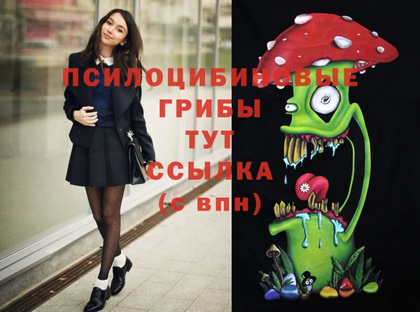 бошки Кинешма