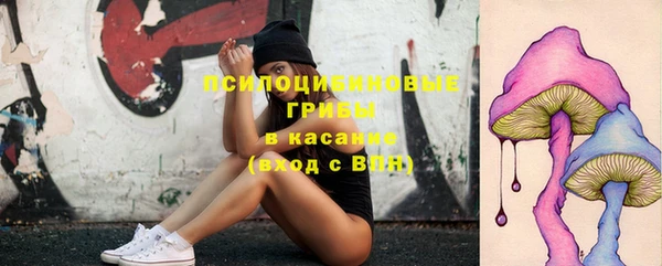бошки Кинешма