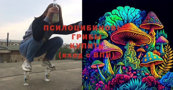 бошки Кинешма